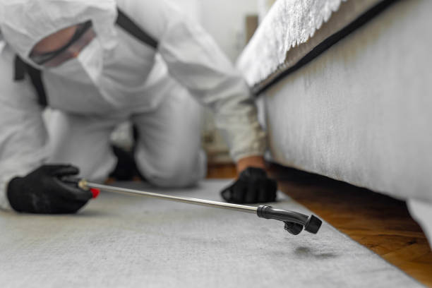 Professional Mosquito Control technician working in Maple Heights-Lake Desire, WA