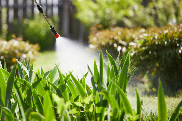 24/7 Emergency Mosquito Control experts in Maple Heights-Lake Desire, WA